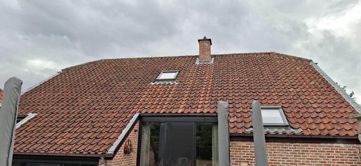 Oude boomse pannen, Doe-het-zelf en Bouw, Dakpannen en Dakbedekking, Gebruikt, Dakpannen, Steen of Klei, Rood, 15 m² of meer, Ophalen