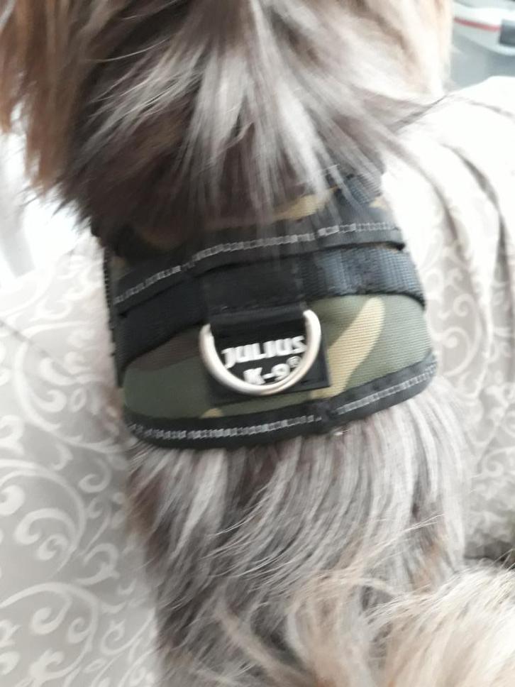 Harnais de couleur soldat de marque K9, Dieren en Toebehoren, Hondenriemen, Nieuw, Hondenriem-accessoire, Ophalen