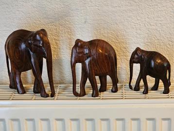 Set van 3 handgesneden Afrikaanse houten olifanten beschikbaar voor biedingen
