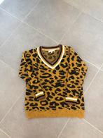 Trui Derhy, maat S, Kleding | Dames, Truien en Vesten, Ophalen of Verzenden, Zo goed als nieuw, Maat 36 (S)