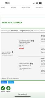 Mooie merrie, Dieren en Toebehoren, Paarden, Merrie, Springpaard, Gechipt, M