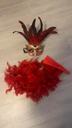 Masque carnaval, boa et éventail, Handtassen en Accessoires, Overige Accessoires, Ophalen, Gebruikt