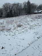 Gezocht woning te huur lummen, Immo