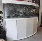 Aquatlantis 150cm gebogen glas + 2Eheim 1200xl(t) filters, Dieren en Toebehoren, Ophalen, Zo goed als nieuw, Leeg aquarium