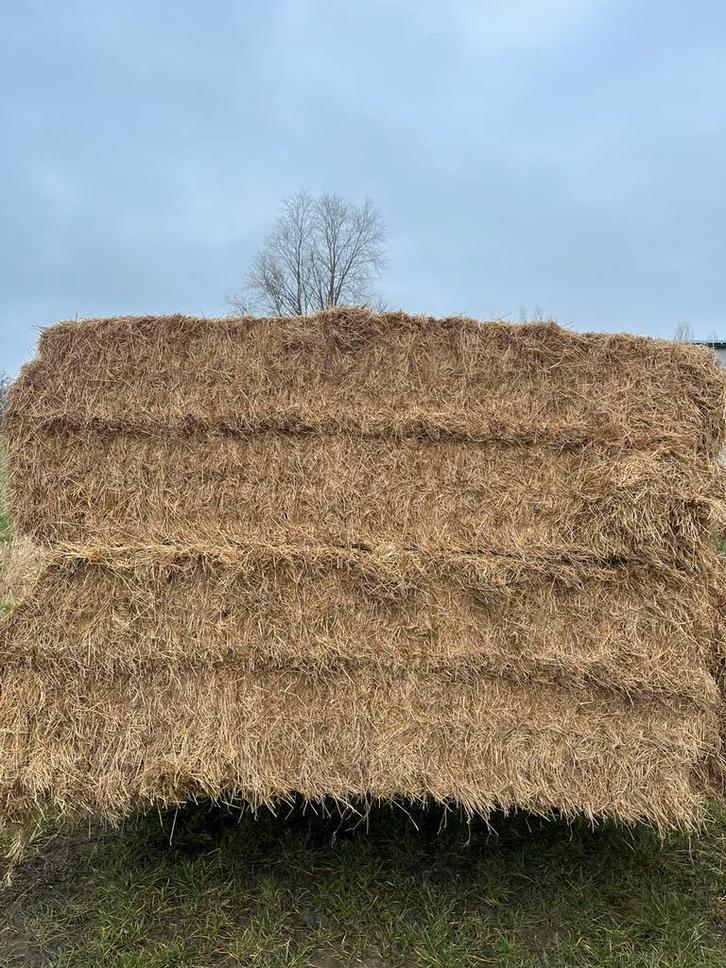 Grote pakken hooi, Dieren en Toebehoren, Dierenvoeding, Ophalen