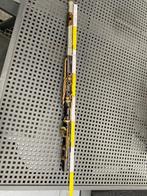 Dwarsfluit uit 19 de eeuw, Musique & Instruments, Instruments à vent | Flûtes traversières & Piccolos, Enlèvement, Utilisé, Flûte traversière