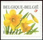 3046 - uitgiftejaar 2001 - trompetnarcis - postfris XXX, Orginele gom, Ophalen of Verzenden, Zonder stempel, Postfris