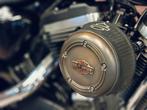 Harley-Davidson SPORTSTER XL1200CX ROADSTER (bj 2019), Motoren, Bedrijf, Overig, 1200 cc, ABS