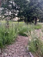 Recreatiegrond met vijver, Immo, Meerhout, Verkoop zonder makelaar, 1000 tot 1500 m²