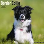 Calendrier Border Collie 2017, Divers, Calendriers, Enlèvement ou Envoi, Calendrier annuel, Neuf