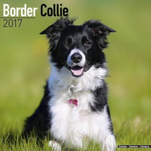 Border Collie-kalender 2017, Diversen, Kalenders, Nieuw, Jaarkalender, Ophalen of Verzenden