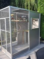 Volière de 2m large x 1m long x2m ht, Dieren en Toebehoren, Vogels | Hokken en Kooien, Ophalen, Zo goed als nieuw, Aluminium, Volière