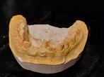 Moulages de dents anciens en plâtre - cabinet de curiosités, Enlèvement ou Envoi