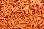carottes, Articles professionnels, Agriculture | Aliments pour bétail, Enlèvement