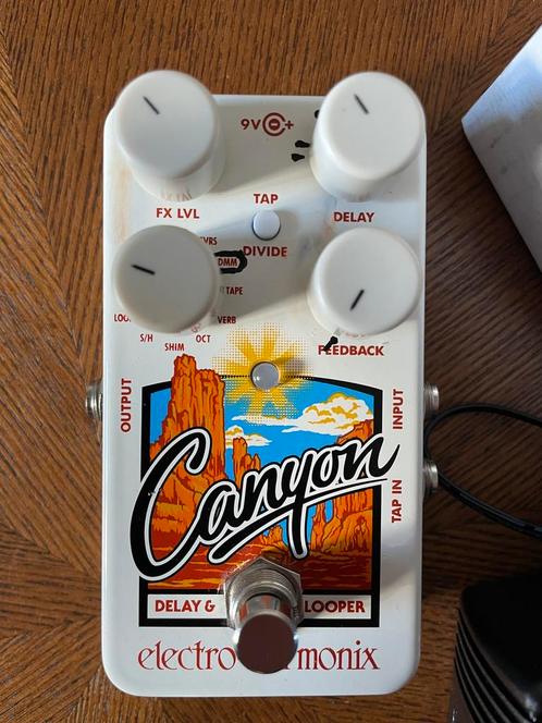 Electro Harmonix Canyon - Delay, Muziek en Instrumenten, Effecten, Gebruikt, Ophalen of Verzenden