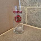 Verre Primus Haacht Pils (modèle 1), Enlèvement ou Envoi, Utilisé, Verre ou Verres, Autres marques