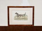 Antieke Engelse prent Ruiter in notenhouten lijst, Antiek en Kunst, Ophalen of Verzenden