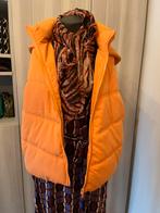 Nog nieuwe bodywarmer met kap maat 40, Kleding | Dames, Bodywarmers, Maat 38/40 (M), Bel & Bo, Nieuw, Oranje