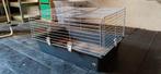 Cavia kooi, Ophalen, Kooi, Gebruikt, 75 tot 110 cm