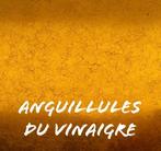 Souches d’anguillules du vinaigre – Nourriture vivante, Enlèvement ou Envoi, Neuf, Autres types