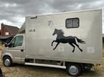 2006 Renault Master paardenvrachtwagen, Dieren en Toebehoren, Gebruikt, Overige typen