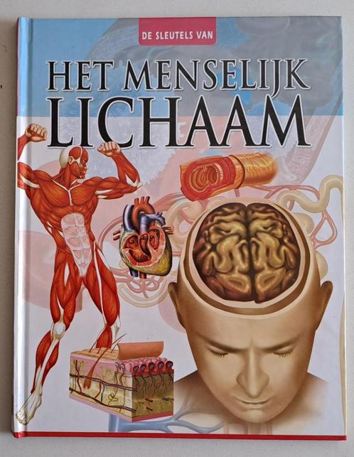 De sleutels van het menselijk lichaam – Menon Meenambika, Boeken, Kinderboeken | Jeugd | 13 jaar en ouder, Gelezen, Ophalen of Verzenden