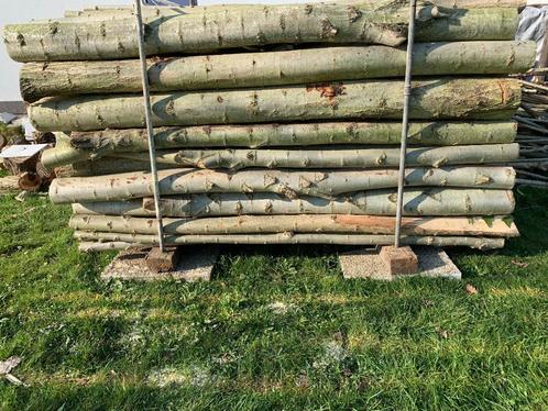 Verse takken populier 2m lang 5-15 cm dik, Tuin en Terras, Palen, Balken en Planken, Nieuw, Overige typen, 180 tot 250 cm, Ophalen