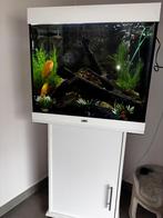 Juwel aquarium 200l compleet, Dieren en Toebehoren, Ophalen