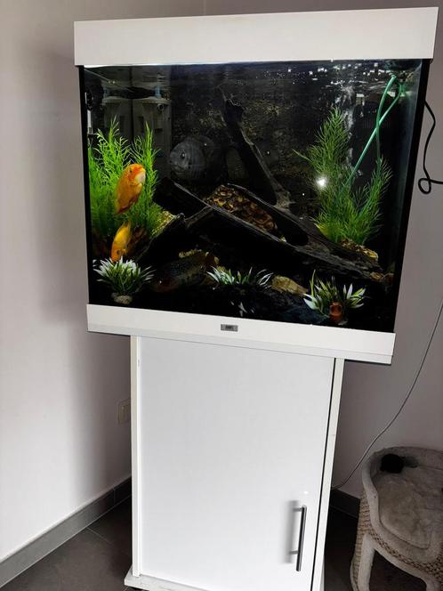 Juwel aquarium 200l compleet, Dieren en Toebehoren, Vissen | Aquaria en Toebehoren, Ophalen