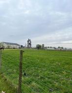 Stalling te huur Lichtervelde, Mise à l'étable