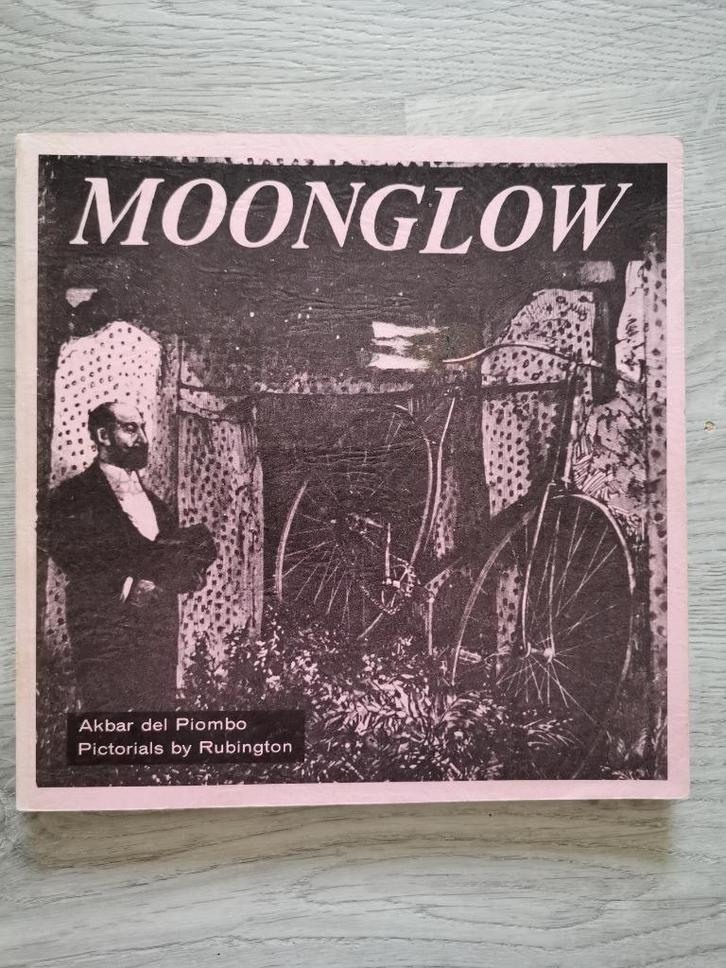 Moonglow - A modern adventure, Boeken, Kunst en Cultuur | Beeldend, Gelezen, Overige onderwerpen, Ophalen of Verzenden