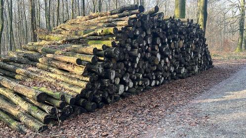 Beukenstammen | volle vracht stamhout | ca. 50 stère, Tuin en Terras, Brandhout, Stammen, Beukenhout, 6 m³ of meer, Verzenden