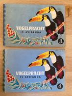 Vogelpracht in Avifauna nr 3&4, Boeken, Prentenboeken en Plaatjesalbums, Ophalen of Verzenden, Gelezen, Plaatjesalbum