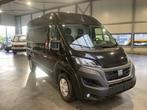 Fiat - Ducato - Voiture Fiat Ducato 2023 - 2023, Achat, Euro 6, Entreprise, Autre carrosserie