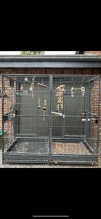 Cage perroquet, Ophalen, Gebruikt, Metaal, Vogelkooi