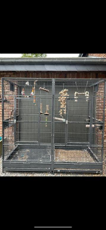 Cage perroquet beschikbaar voor biedingen