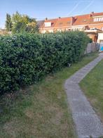 Tuinhaag, Ophalen