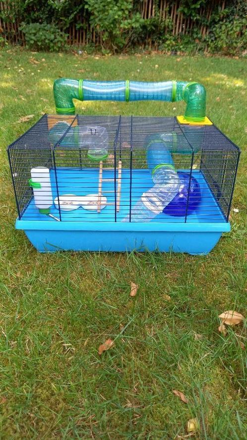 Hamsterkooi, Dieren en Toebehoren, Knaagdieren en Konijnen | Hokken en Kooien, Gebruikt, Kooi, Minder dan 60 cm, Minder dan 75 cm