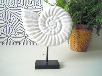 Ammoniet op sokkel beschikbaar voor biedingen