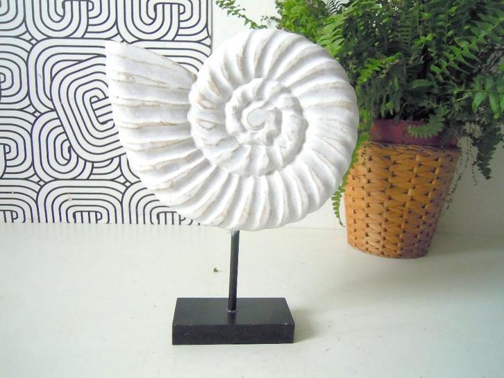 Ammoniet op sokkel, Verzamelen, Mineralen en Fossielen, Overige typen, Verzenden