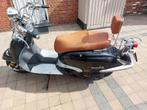 Retro scooter, Autres modèles, 125 cm³, Classe B (45 km/h), Enlèvement
