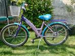 Meisjesfiets Papillon 22 inch, Ophalen, 22 inch, Papillon, Versnellingen