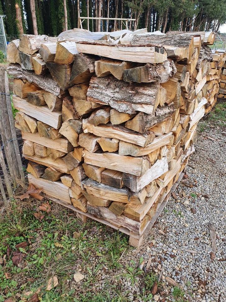 Eik brandhout, Tuin en Terras, Brandhout, Ophalen