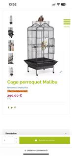 Cage perroquet, Enlèvement
