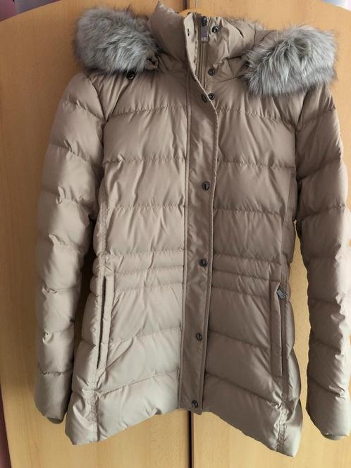 damesjas winter tommy hilfiger NIEUW, Kleding | Dames, Jassen | Winter, Nieuw, Maat 42/44 (L), Beige, Ophalen of Verzenden