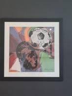 prachtige litho van Andy Warhol, Antiek en Kunst, Ophalen