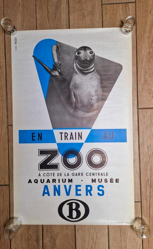 Affiche ancienne Antwerp Zoo - De Zeeolifant, Collections, Posters & Affiches, Comme neuf, Animal et Nature, Affiche ou Poster pour porte ou plus grand