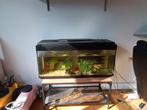Grand aquarium grand taille full tout est compris, Dieren en Toebehoren, Reptielen en Amfibieën | Toebehoren, Ophalen of Verzenden