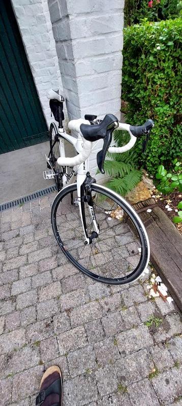 TREK carbon koersfiets beschikbaar voor biedingen