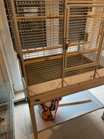 Vogelkooien en Engelse grasparkieten te koop, Enlèvement, Comme neuf